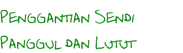 Penggantian Sendi  Panggul dan Lutut
